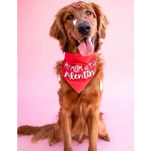 My Mom is My Valentine Dog Bandana